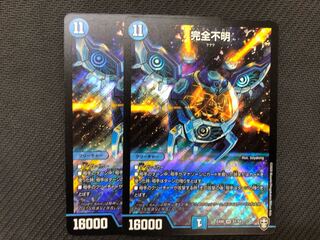 デュエルマスターズ 完全不明　2枚