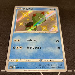 Chewtle S [different colors].