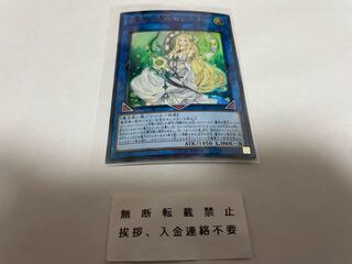 神聖魔皇后セレーネ ウルトラレア 傷