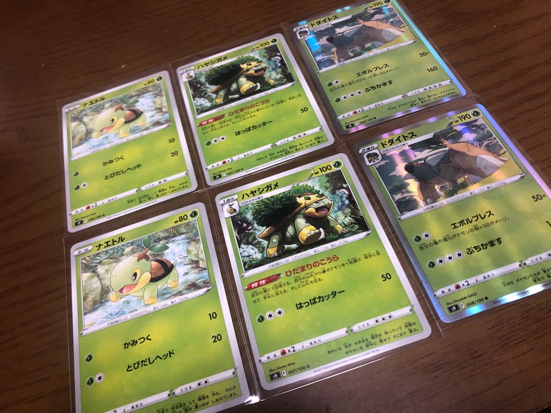 Torterra Evolution Line 2 Set