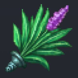 伊藤さん専用 ブレイブセージ 低レベル