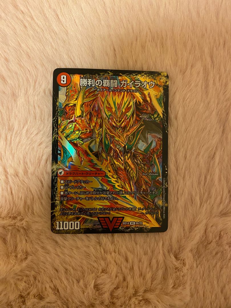 Supreme Fighting Shogun Gaiou Burn|Victorious Supreme Fighting Gaiou