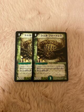 Fortress Shell Set of 2