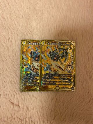 君は煌銀河の正義を見たか? 2枚セット