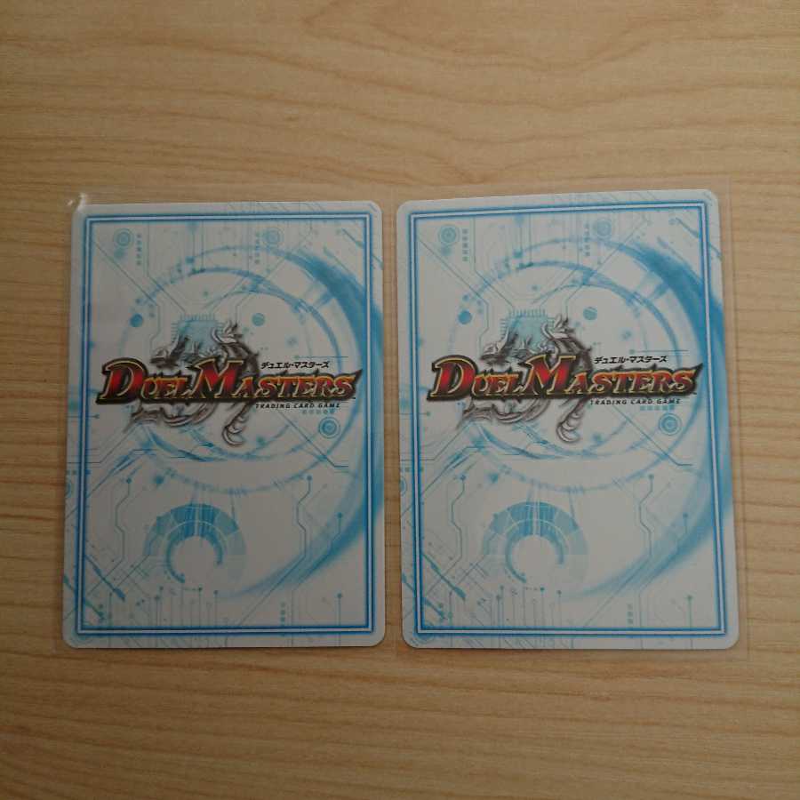 白皇角の意志 ルーベライノ