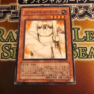 Koa'ki Meiru Guardian Normal