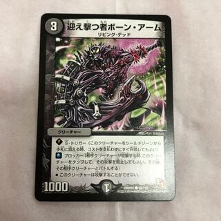 Bourne Arm, the Interceptor