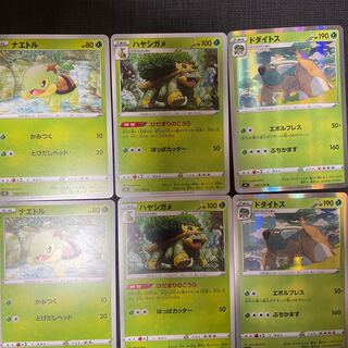 ナエトル 進化ライン