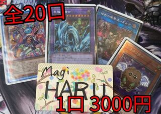 ホルモン様専用出品