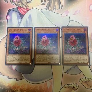 Glow-Up Bloom Set of 3