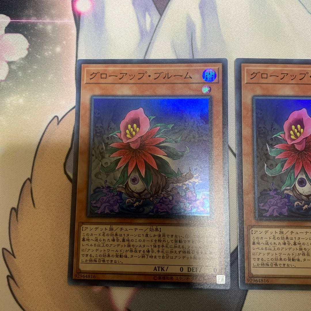 Glow-Up Bloom Set of 3