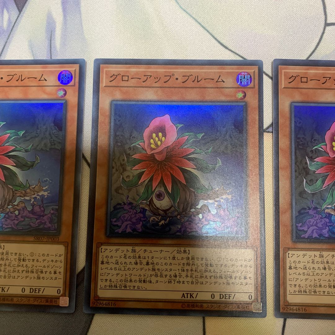 Glow-Up Bloom Set of 3