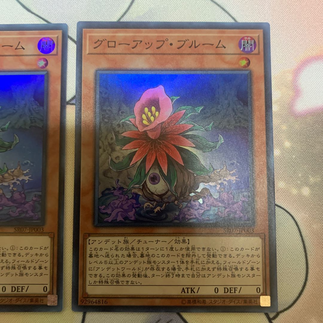 Glow-Up Bloom Set of 3