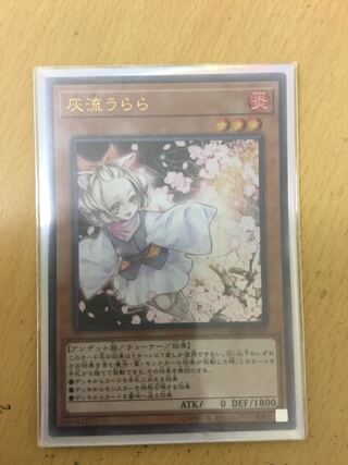 Ash Blossom & Joyous Spring Ultra Rare
