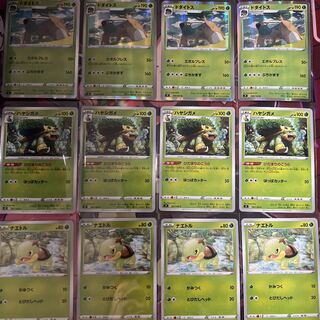 Torterra evolution line, set of 4 each