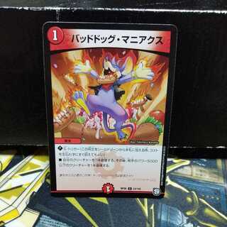 Dangerous Dog Maniacs