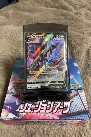 Genesectv (2 pieces)