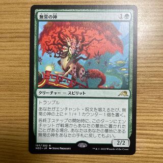 traveler's guardian deity (traveller)