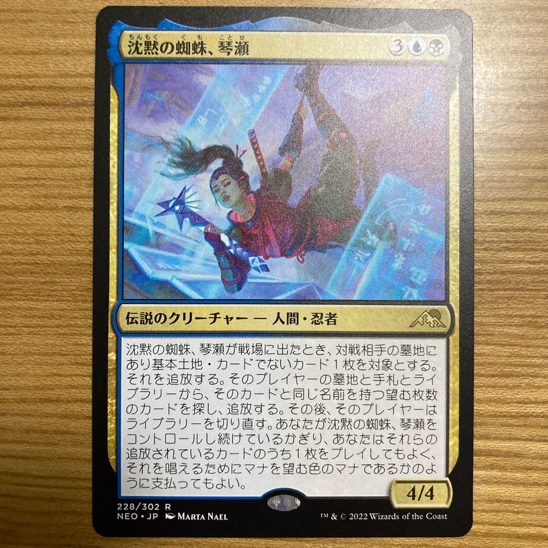 The Spider of Silence, Kotose