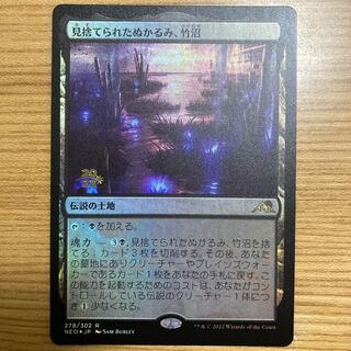 見捨てられたぬかるみ、竹沼　foil プレリ