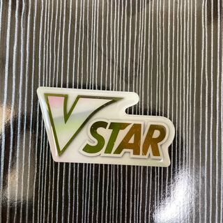 Pokemon Card VSTAR Marker 1枚