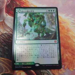 MTG 変わり樹の共生 拡張foil FOIL] 変わり樹の共生/Turntimber Symbiosis (拡張アート版