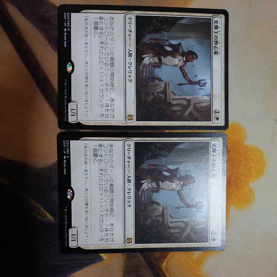 光輝王の野心家(日)2枚セット