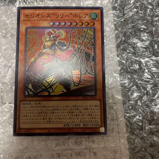 Cellions "Lily" Bollea