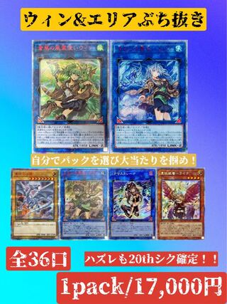 山嵐様専用　【ゲリラ割】【2口分】残2口！エリア&ウィンぶちぬき 1枚