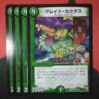 Great Cactus R 62/84 DMX11