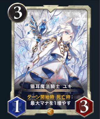 猫耳魔法騎士 ユキ