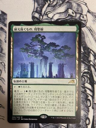 Dedicated to Mr. Futa, What Endures, Mother Holy Tree & Otawara