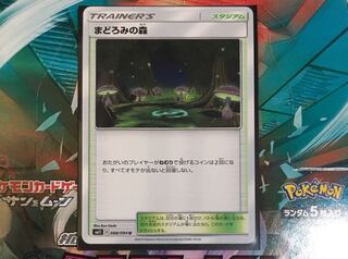 まどろみの森 1枚