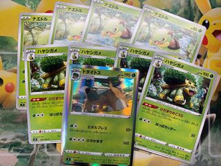 Torterra R Evolution
