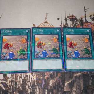 化石調査 パラレル ノーマル　3枚