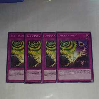 Junk Sleep Normal Rare