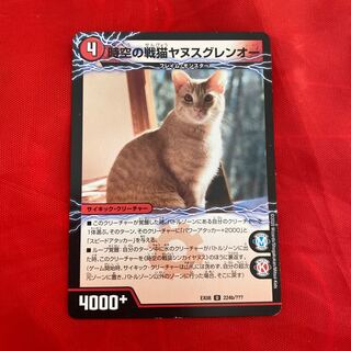 Space-time War Cat Shinkaiyanus｜Space-time War Cat Janus Glenor