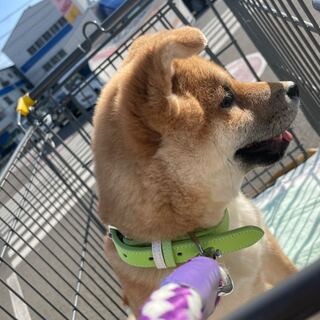 First prize lottery slot