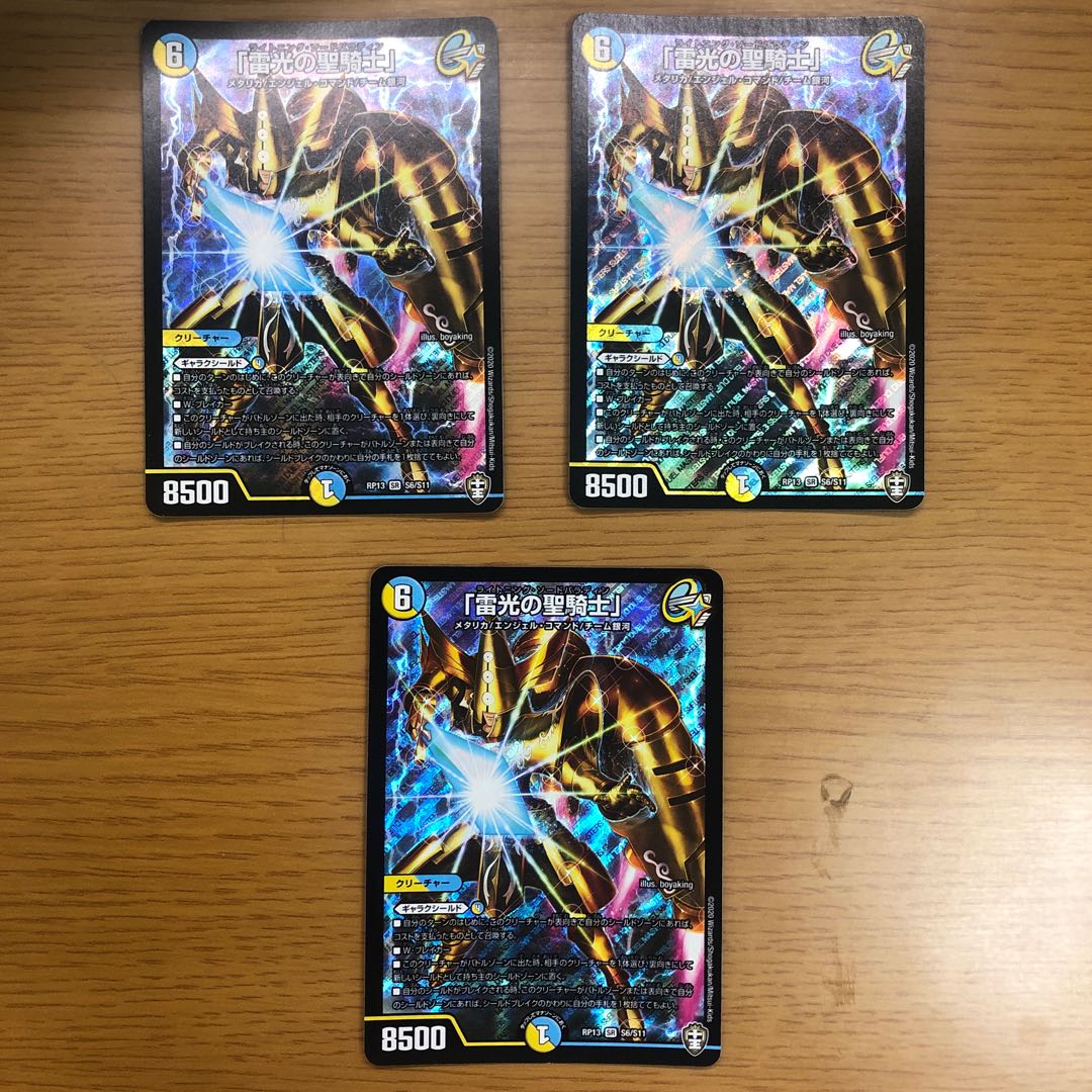 "Holy knight of lightning."