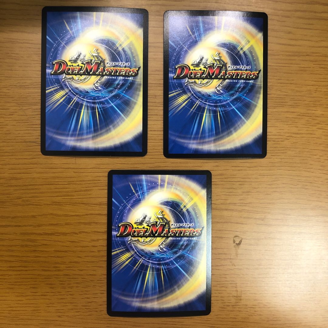 "Holy knight of lightning."