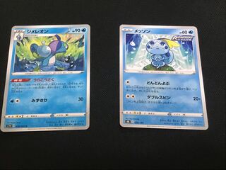 フォロワー様限定！特価品ジメレオン&メッソン