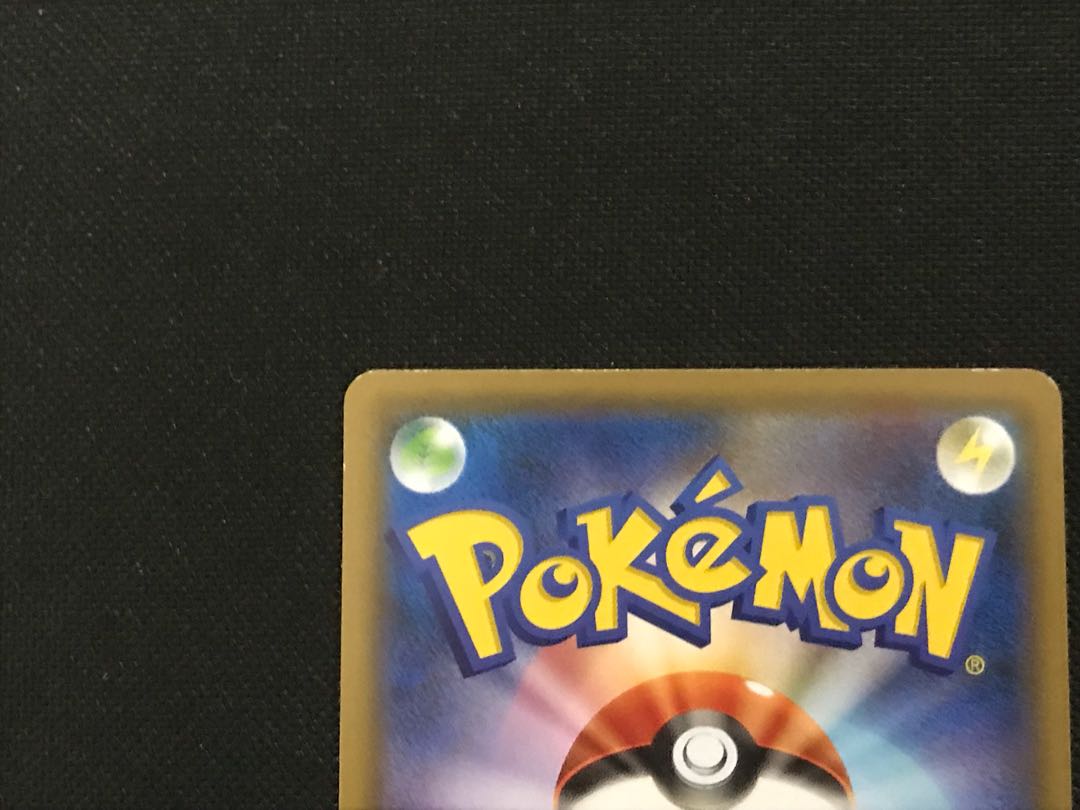 フォロワー様限定！特価品ジメレオン&メッソン