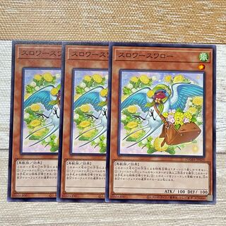 Slower Swallow Normal