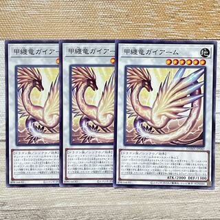 甲纏竜ガイアーム ノーマル