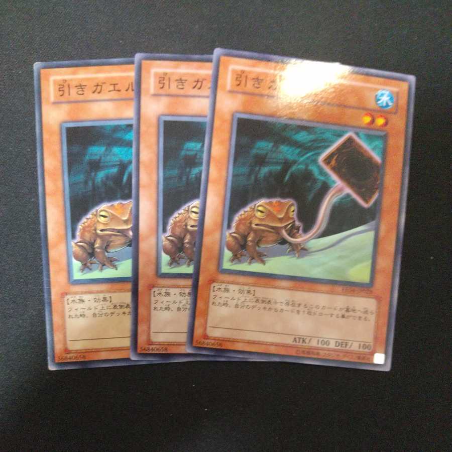 Poison Draw Frog Normal