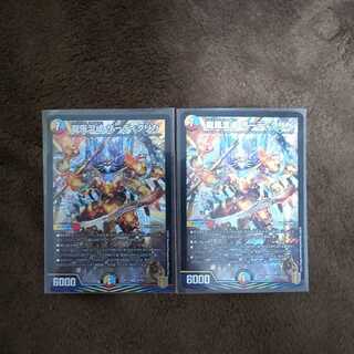 龍風混成 ザーディクリカ　2枚