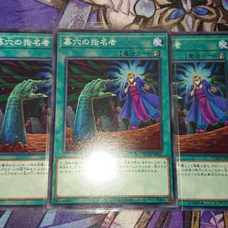 墓穴の指名者 ノーマル ３枚