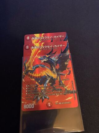 The Eternal Ryusei Kaiser