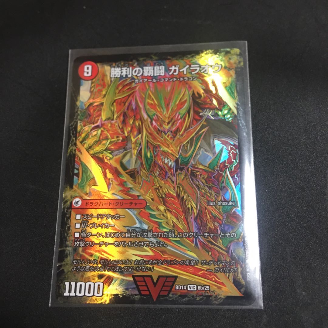 Supreme Fighting Shogun Gaiou Burn|Victorious Supreme Fighting Gaiou