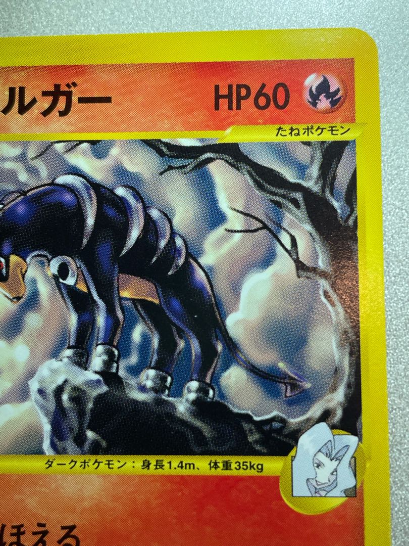 Houndoom vs 1ed in Karin